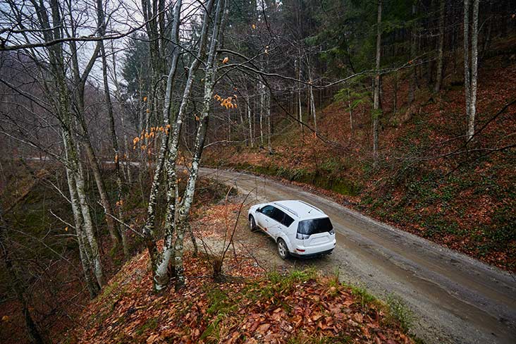 Car parked in the woods