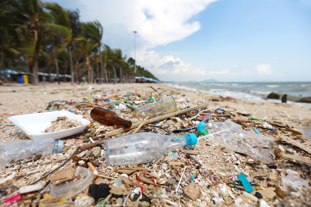海洋 プラスチック 問題 1.jpg