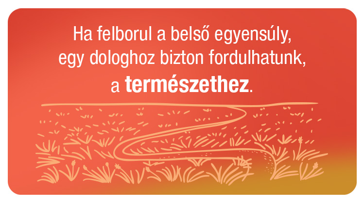 generali-zsebrelax-termeszet.jpg