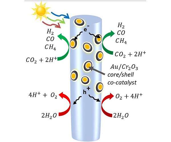 nanowire-catalyst-marker-hg.jpg