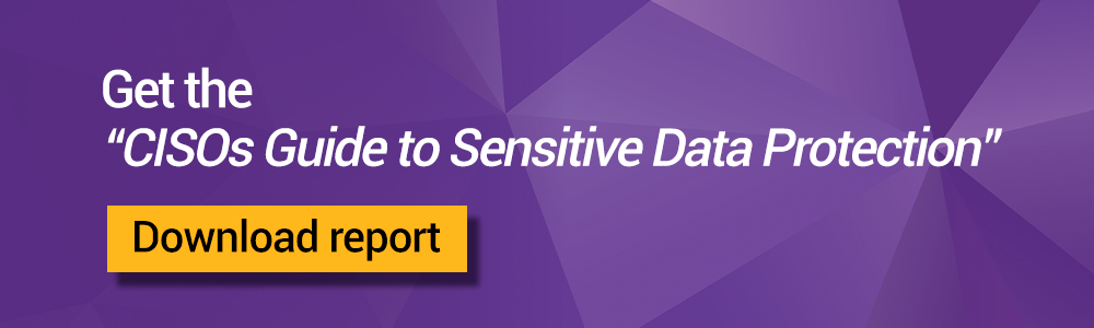 Download CISOs Guide to Sensitive Data Protection | Synopsys