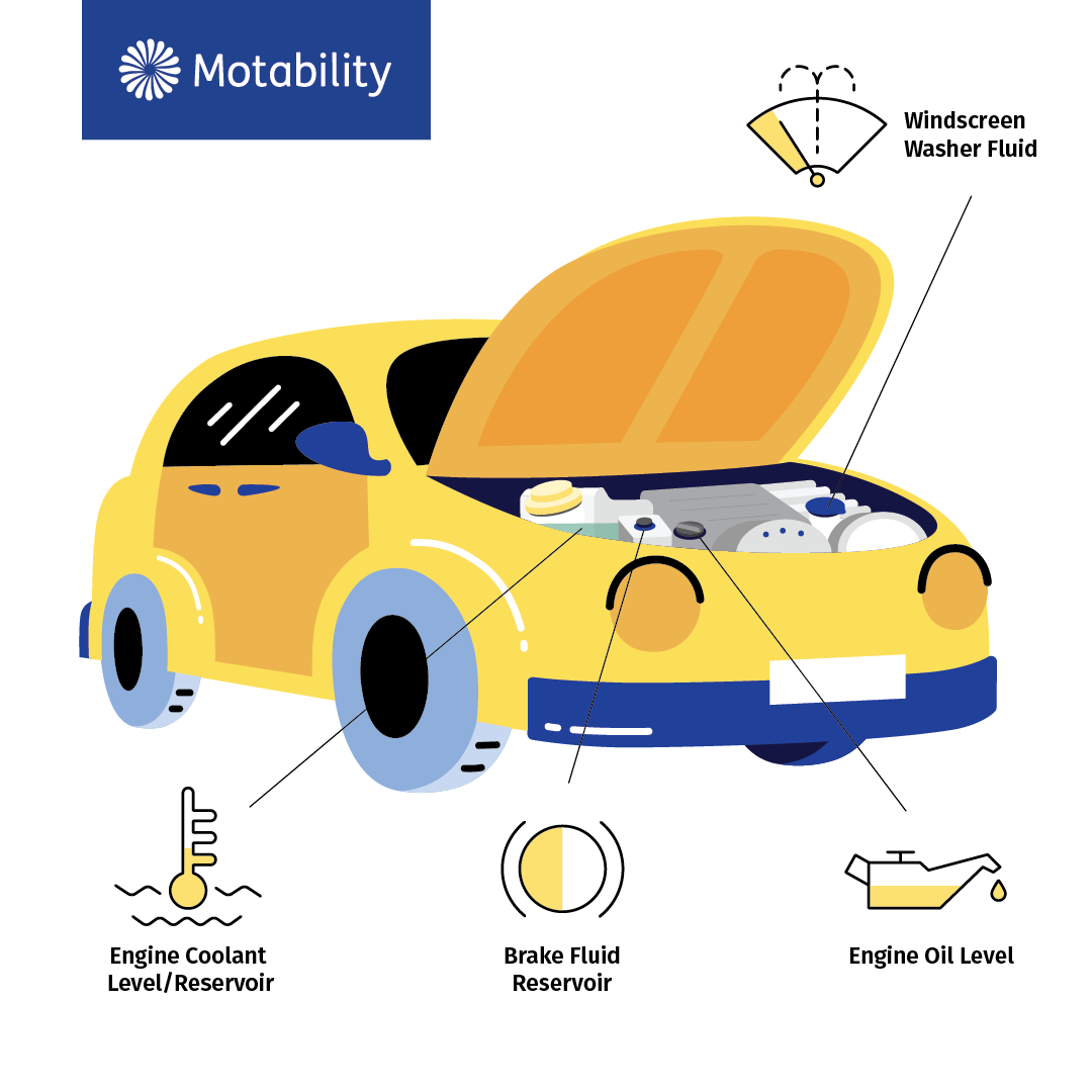 illustration of a car with the bonnet open and four main components shown, including the windscreen washer fluid, engine coolant reservoir, brake fluid reservoir and engine oil level