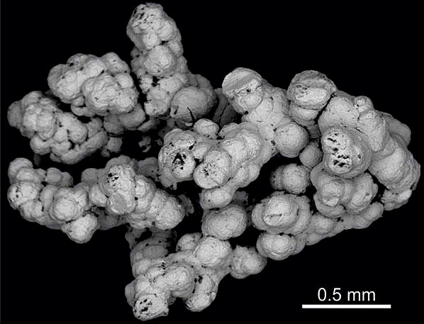 backscattered-electron-botryoidal-pt-pd-nugget-hg.jpg