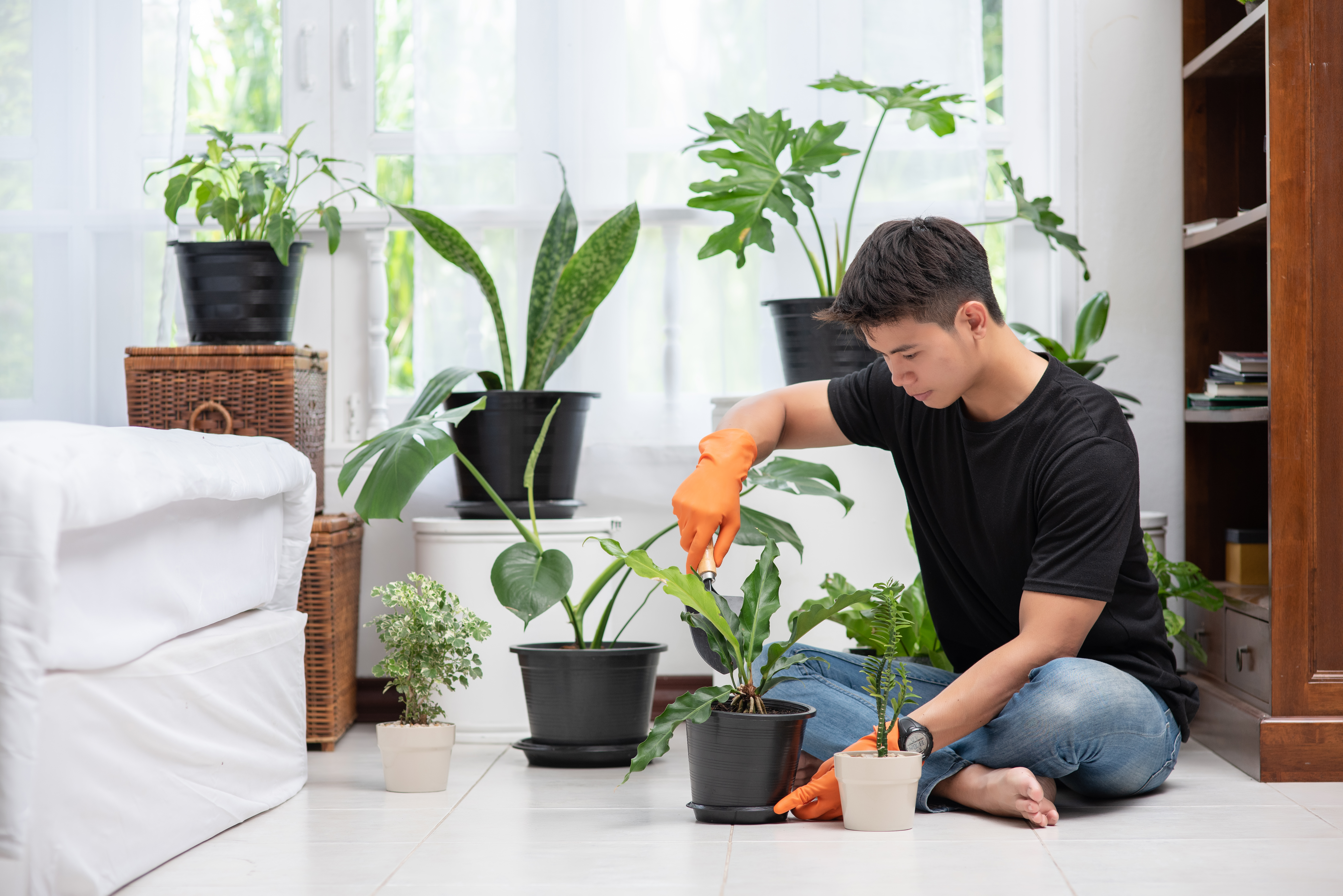 men-wearing-orange-gloves-planting-trees-indoors.jpg