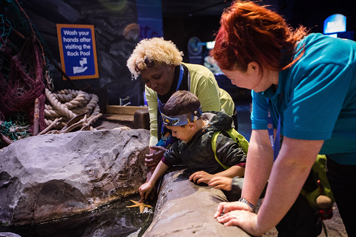 Rockpool at National Sea Life Centre