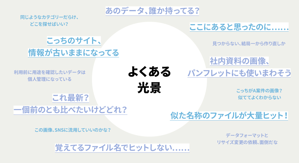 insight_230328_shelf_f2.jpg