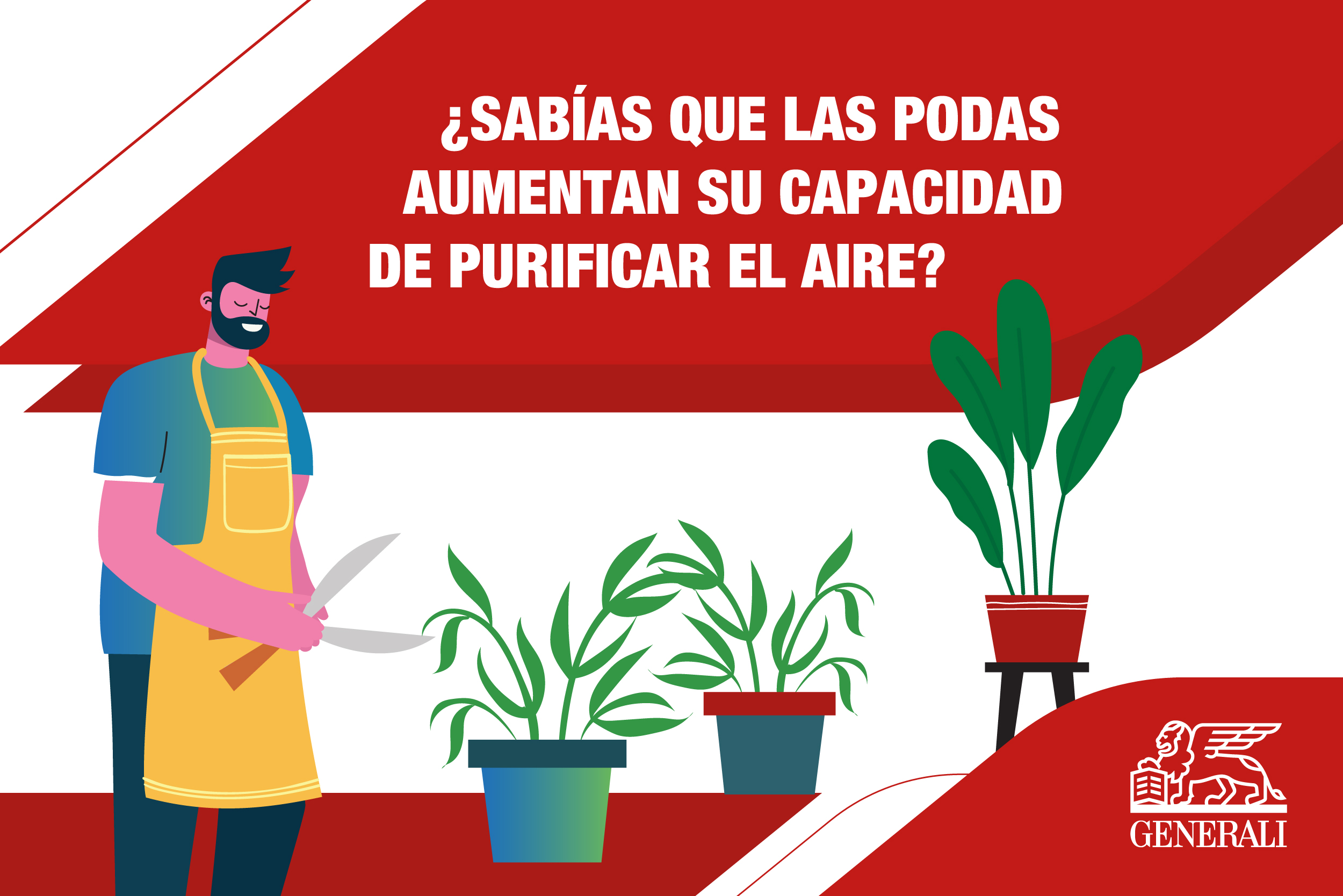 1634747_1634747_Copy-of-Generali-Spain-mini-graphics-x-4-caring-for-house-plants-02_050823 (1).jpg