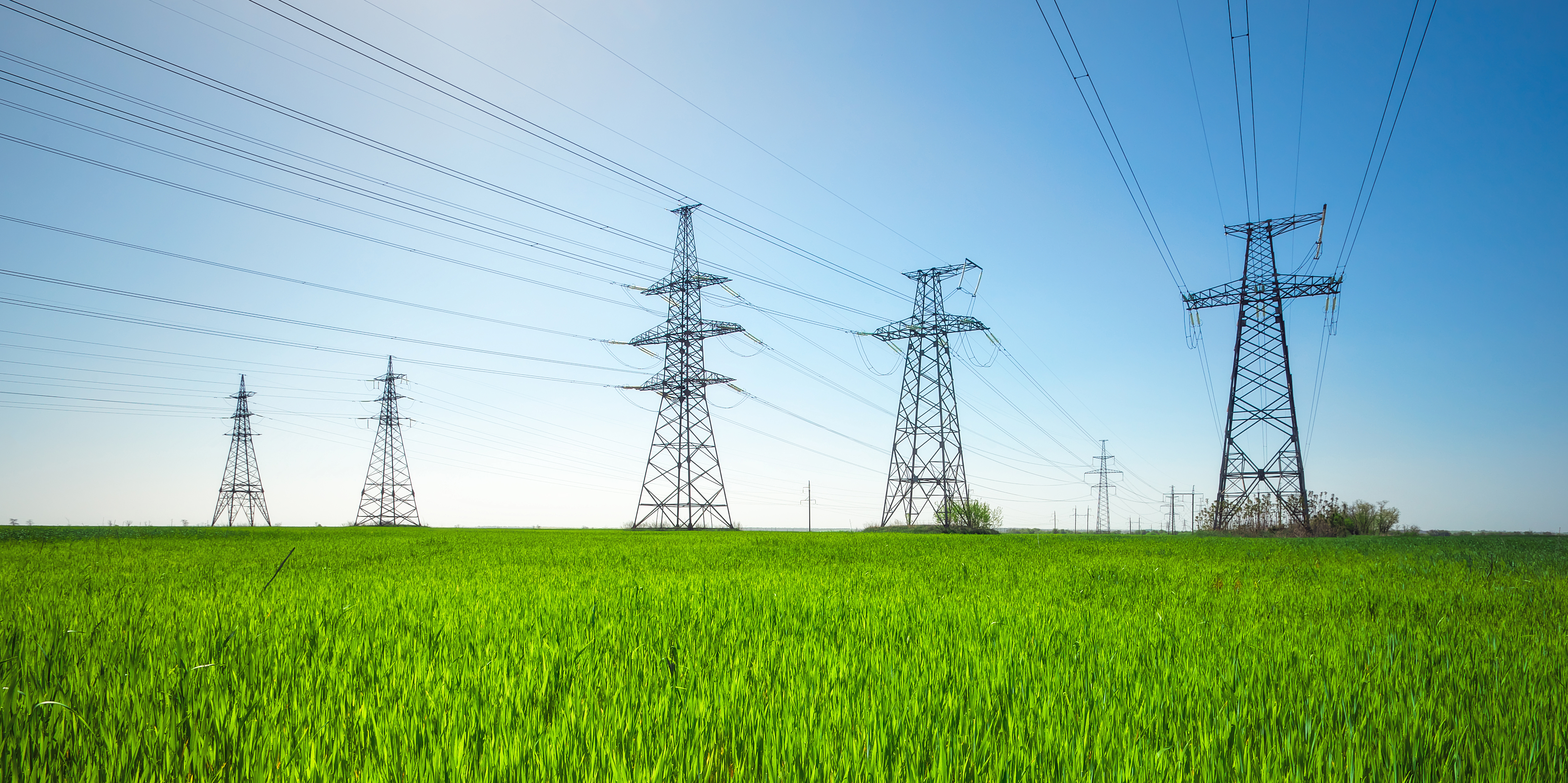 High voltage lines and power pylons in a green agricultural landscape with blue sky on a sunny day.