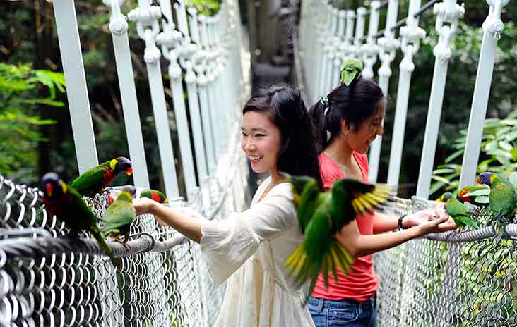 Feeding the lories and lorikeets at Jurong Bird Park, Singapore