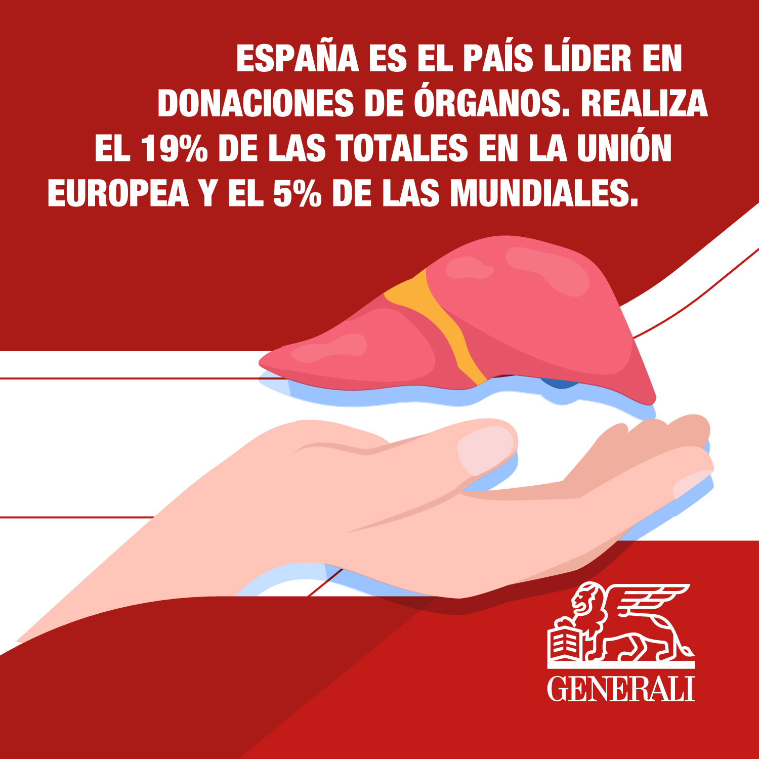1562466_Generali-Spain-How-to-donate-organs-in-Spain-opt2_020723.jpg