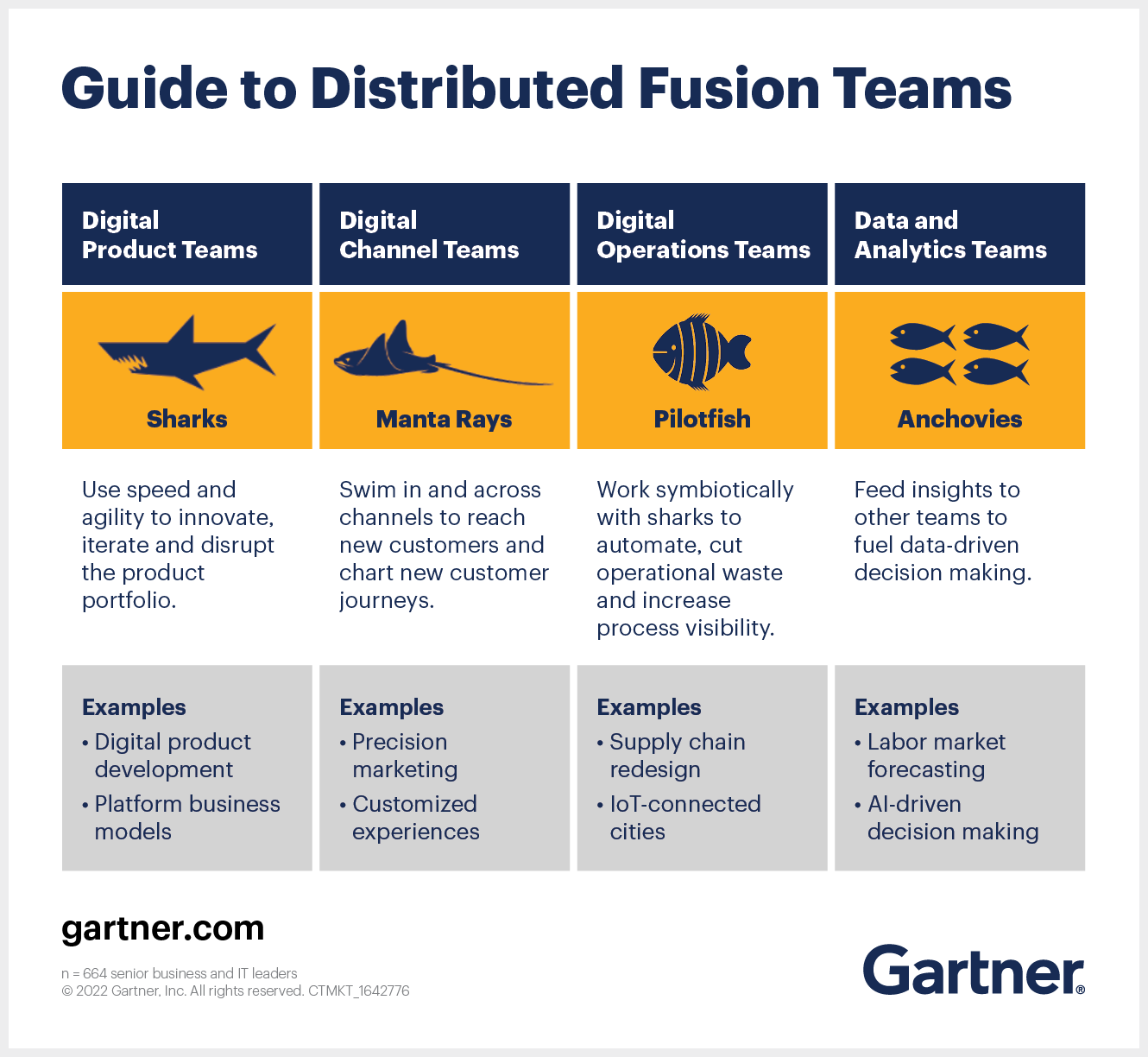 Guide to Distributed Fusion Teams
