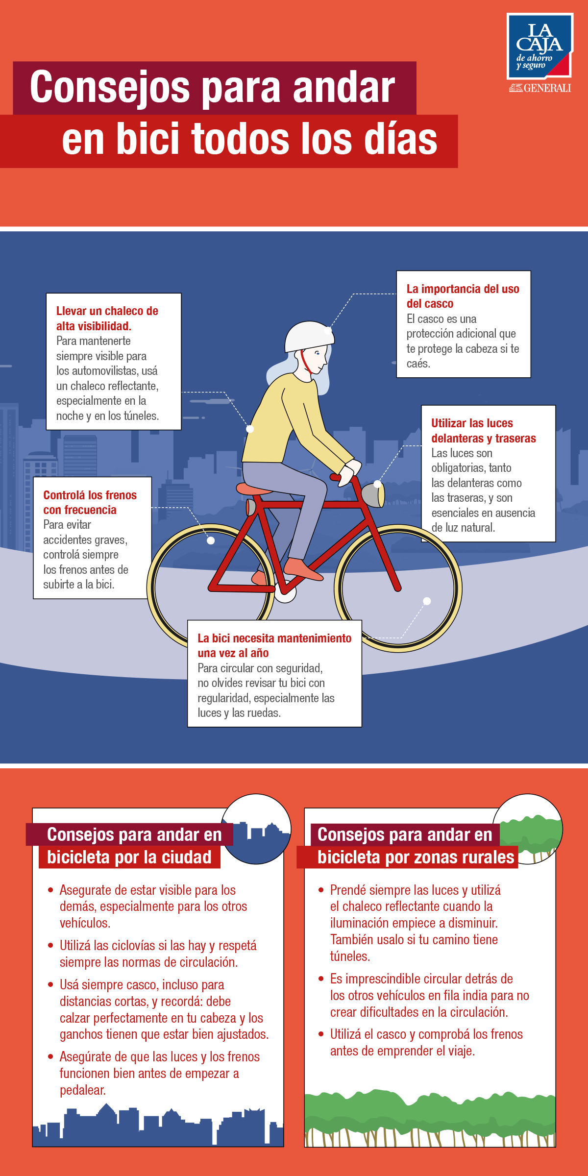 Puesta a punto de tu bici: nuestros consejos : The Cyclist House