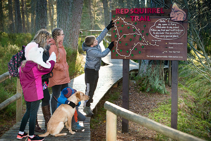 Dogs enjoy Landmark Forest Adventure Park