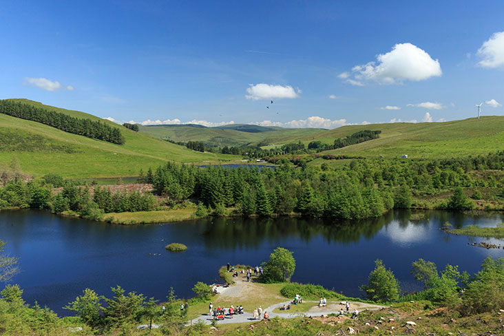 Stunning Bwlch Nant yr Arian Forest in Wales