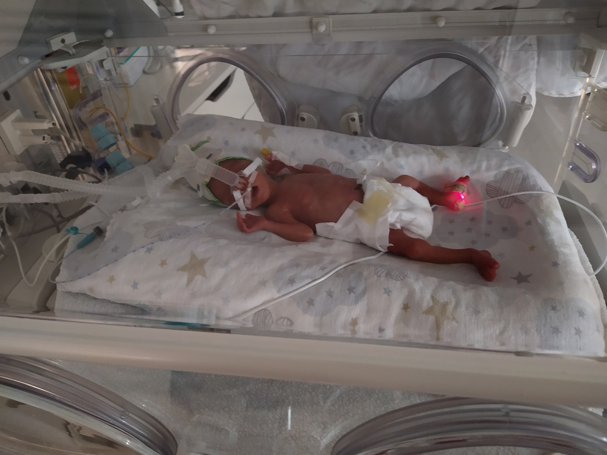 GE Healthcare Giraffe OmniBed incubator warmer