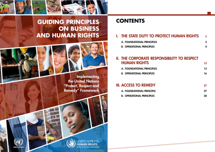 The UN Guiding Principles on Business and Human Rights have become an important standard for human rights responses.