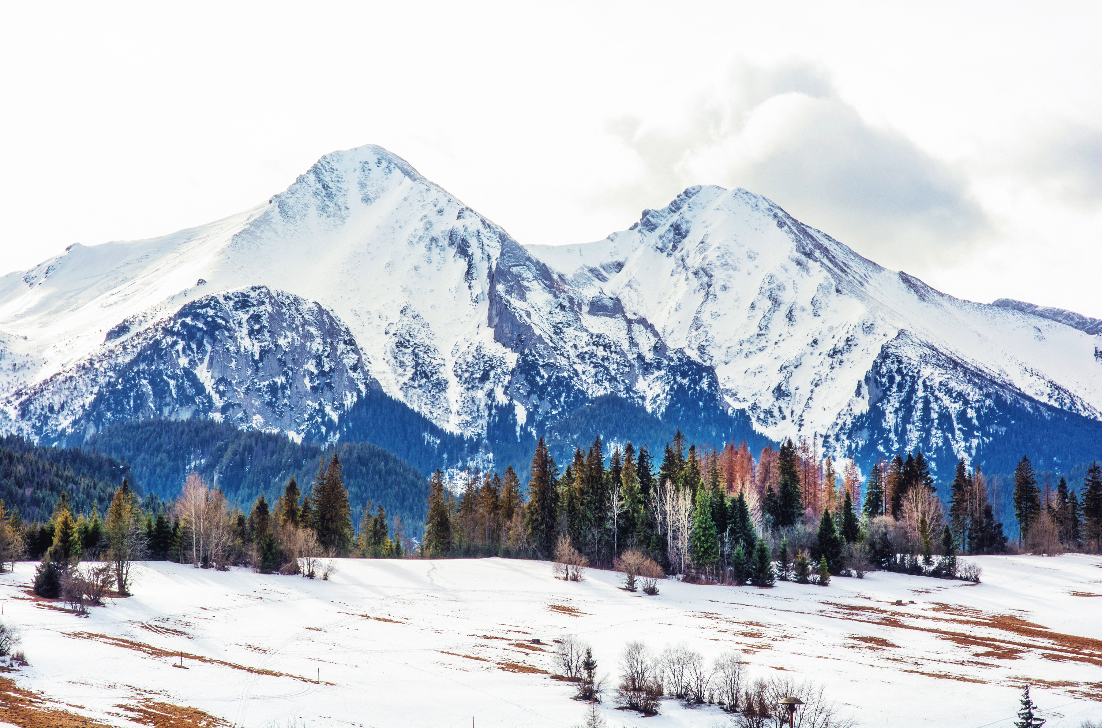 pre male deti_belianske tatry_shutterstock_1253013424.jpg