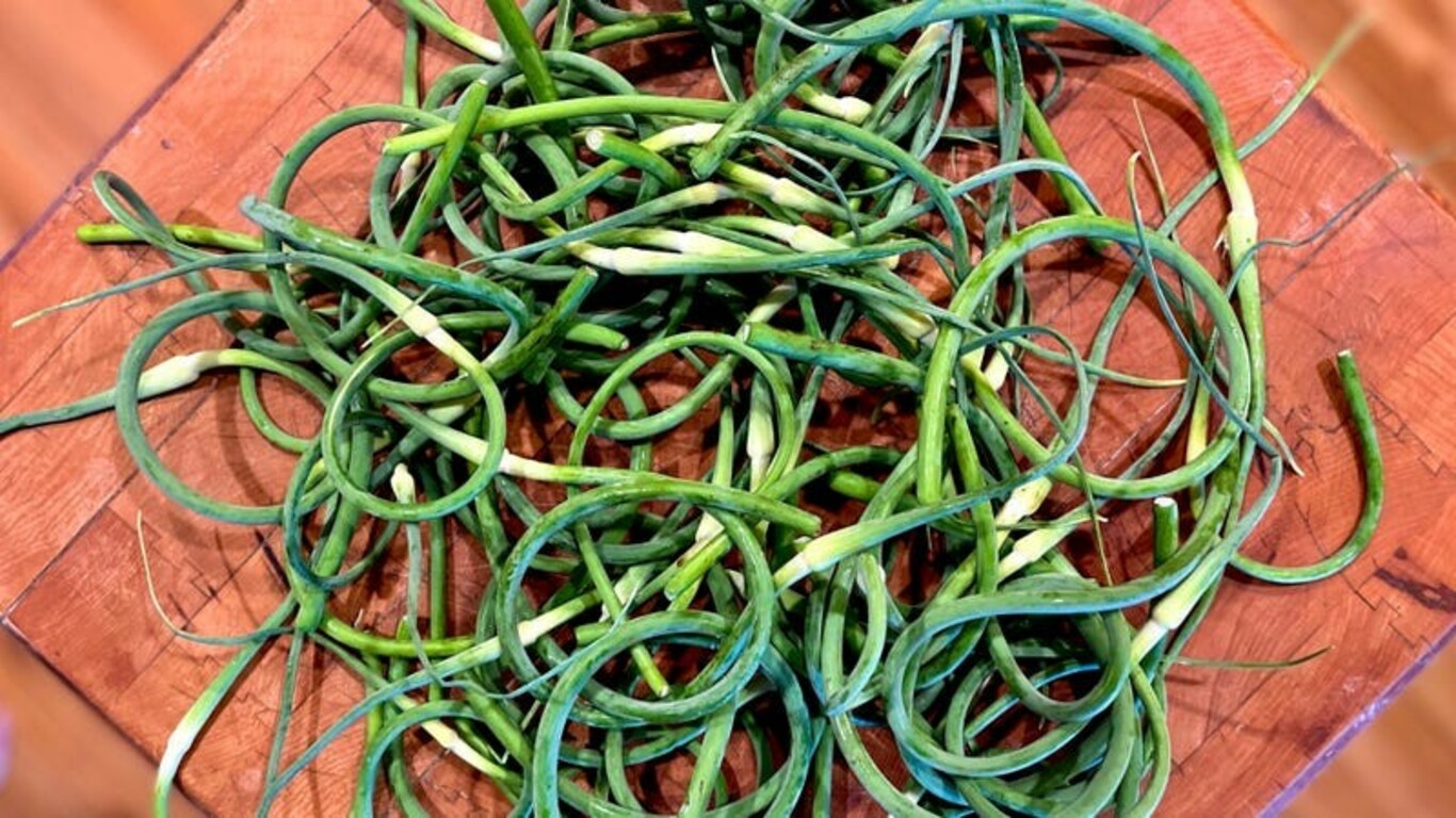 What Are Garlic Scapes and How Do You Use Them?