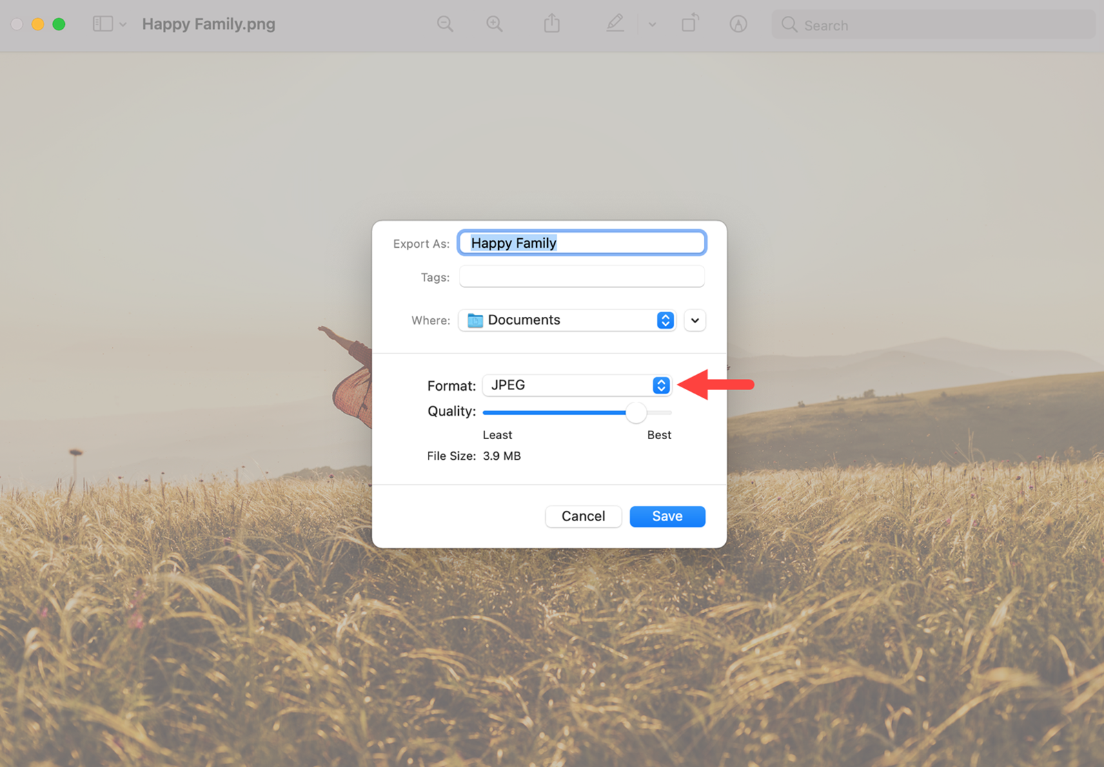 Apple Preview "Export As.." options to convert PNG image file to JPG format