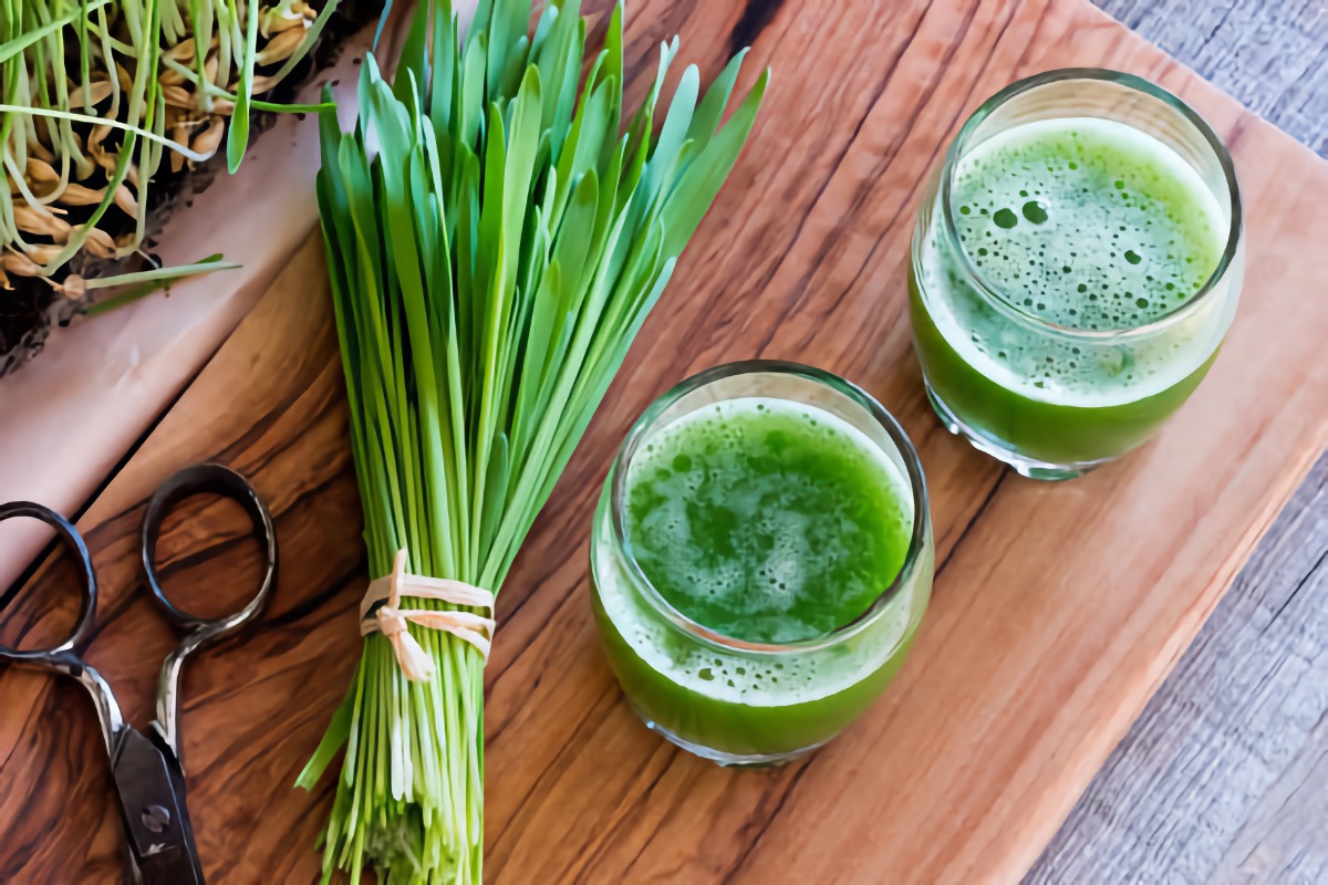 Wheatgrass 2024 juice benefits