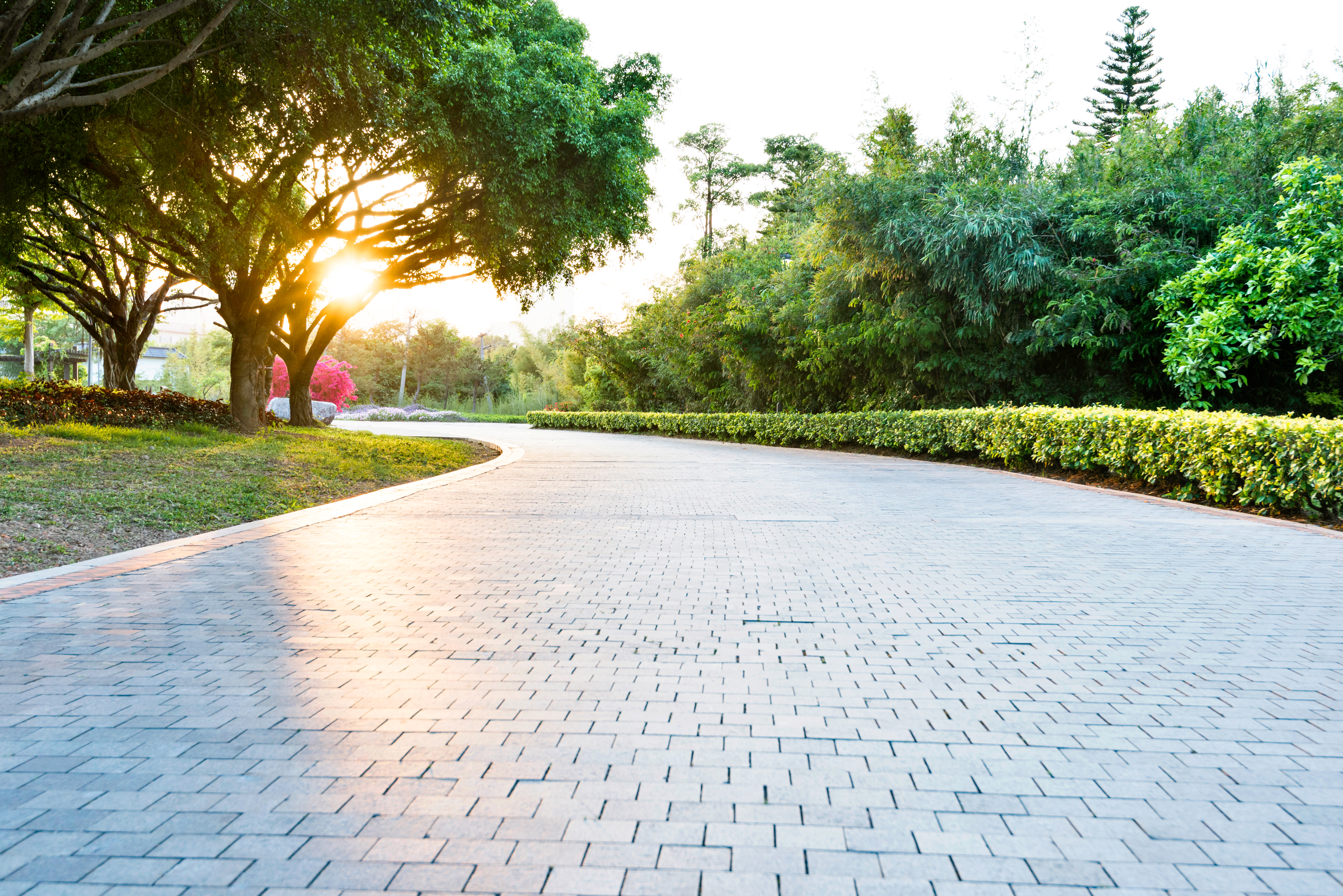 Empty brick road in the park