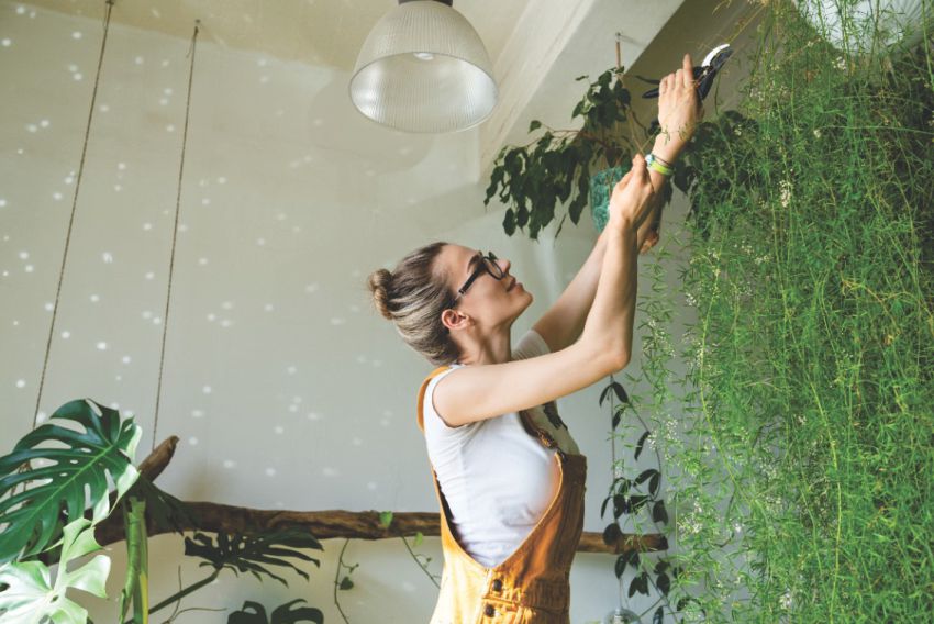 Dekle ureja zeleno steno oziroma vertikalni vrt.