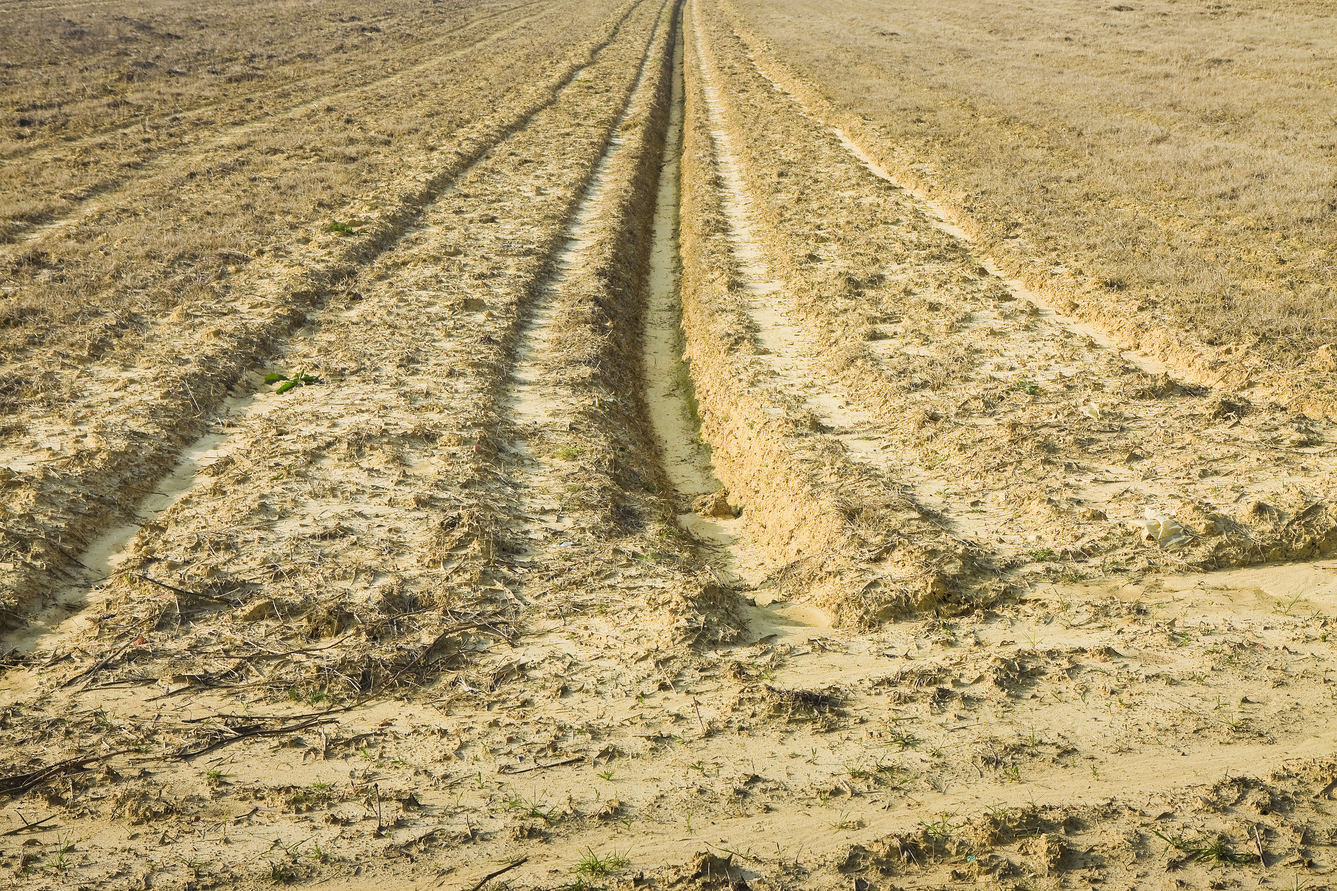 Ditch of rainwater collection in a plowed field - image with copy space