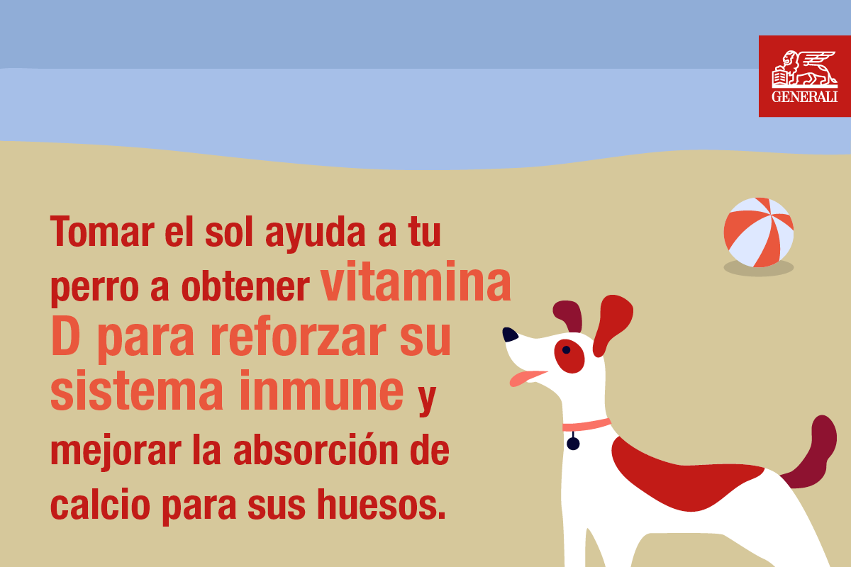 Generali Spain Beaches for dogs 2.png
