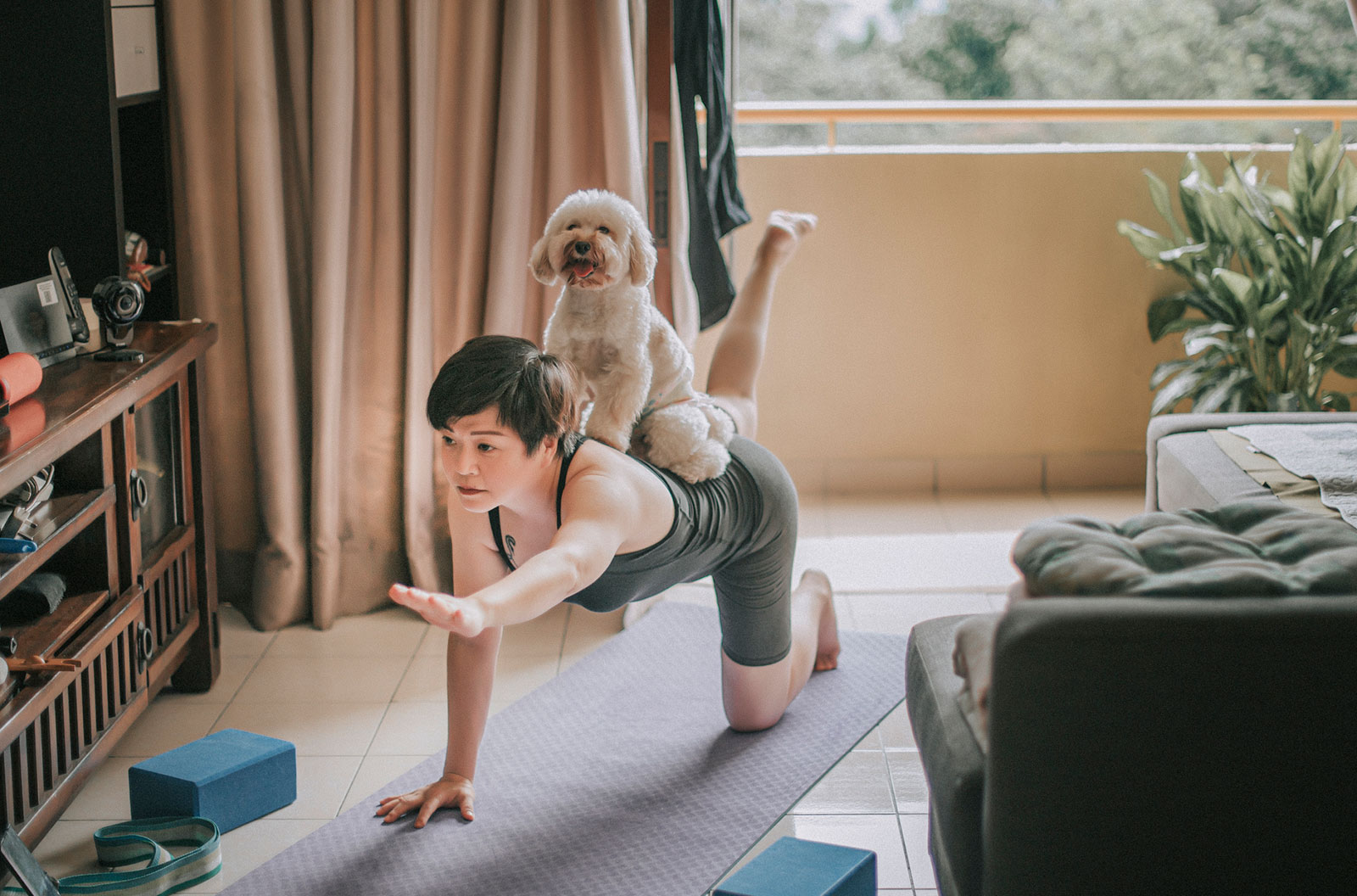 A woman doing yoga in her living room with a puppy on her back.