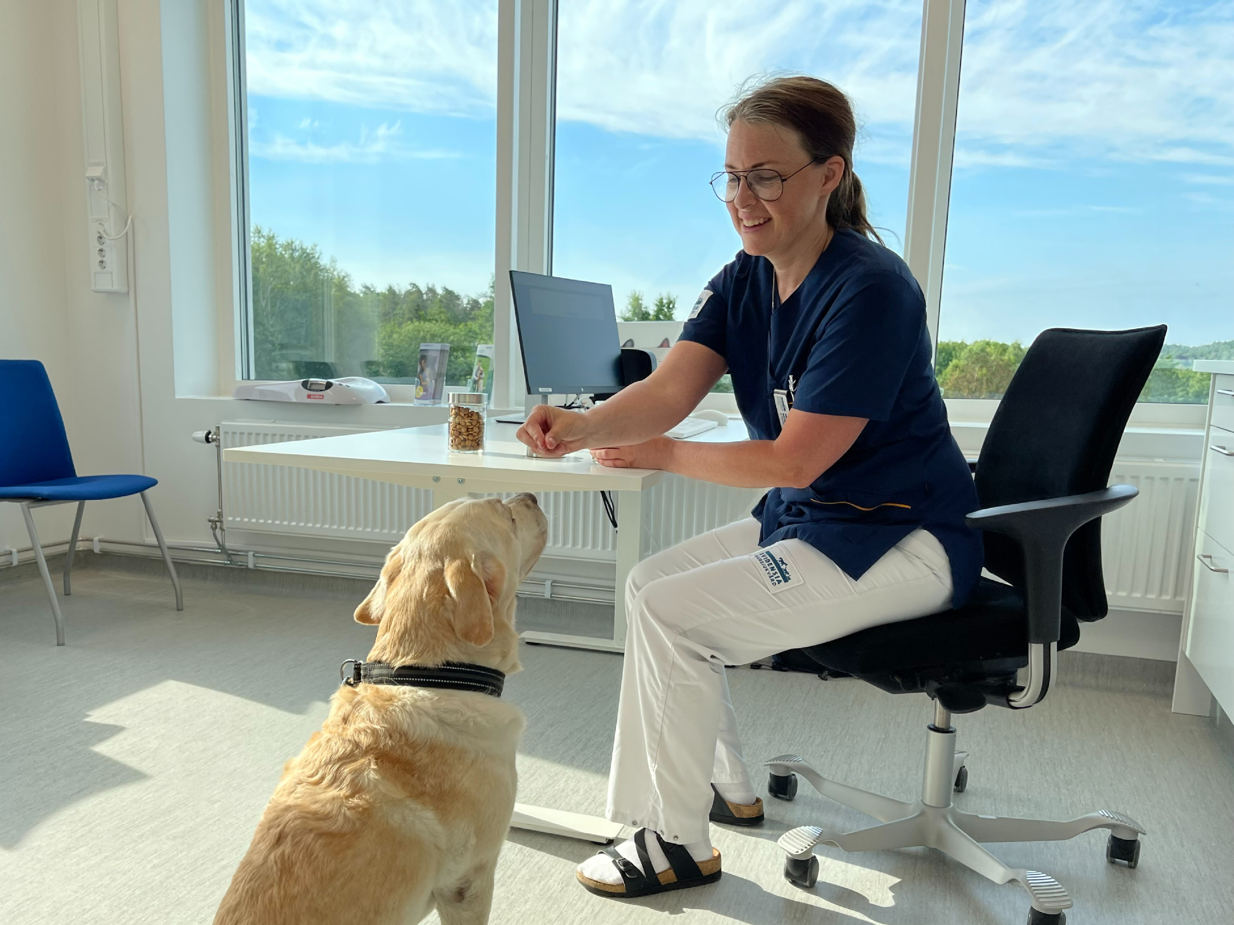Head nurse Anna-Lena Westman, Evidensia Gothenburg