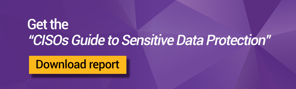 CISOs guide to sensitive data protection white paper | Synopsys