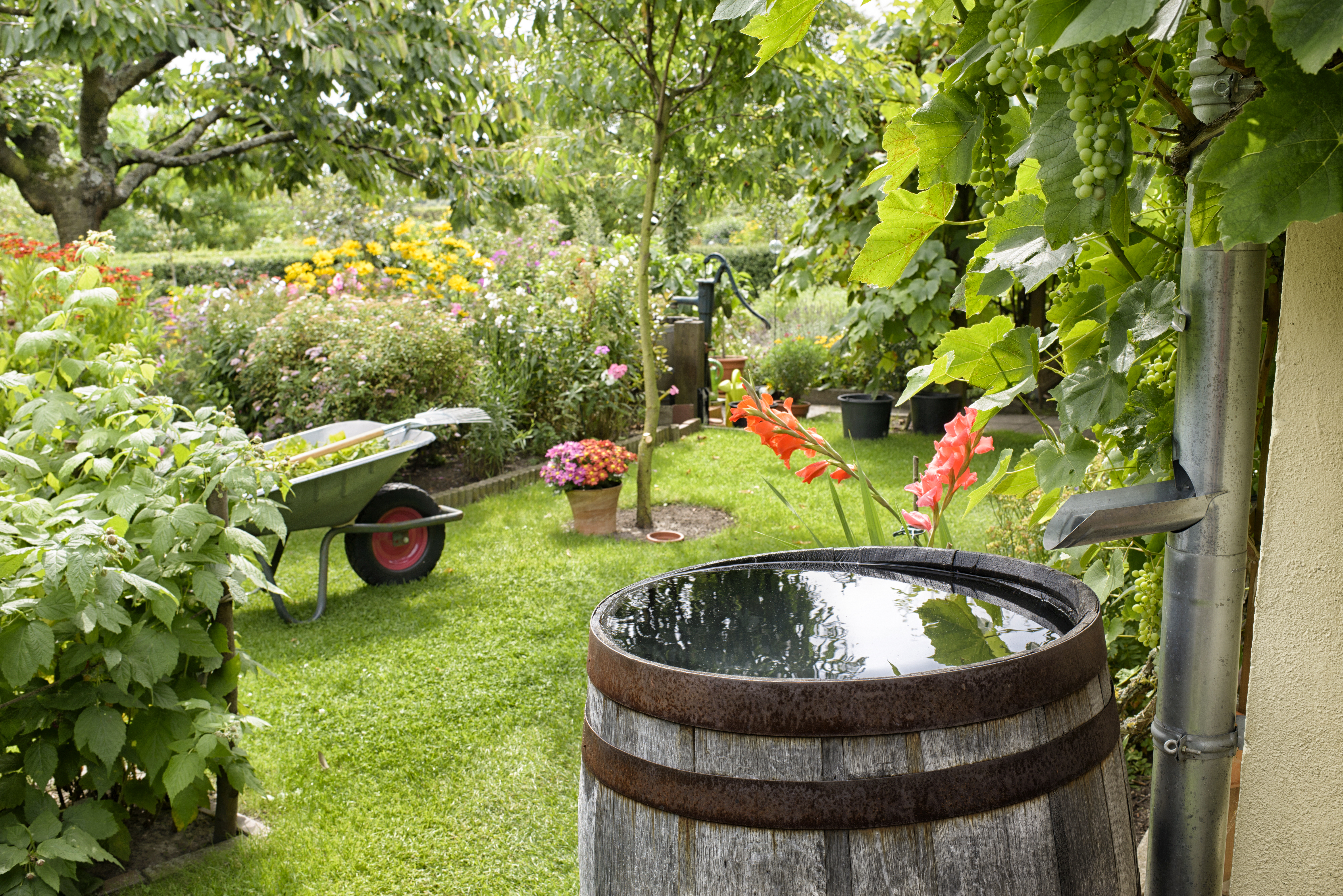 Wooden barrel