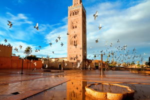 Na izlet v Marašek v Maroku