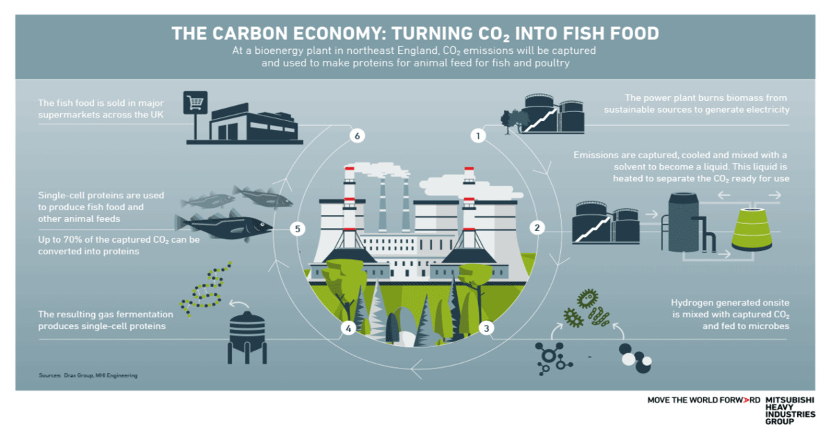 ”CO2 from a power station could be turned into fish food
