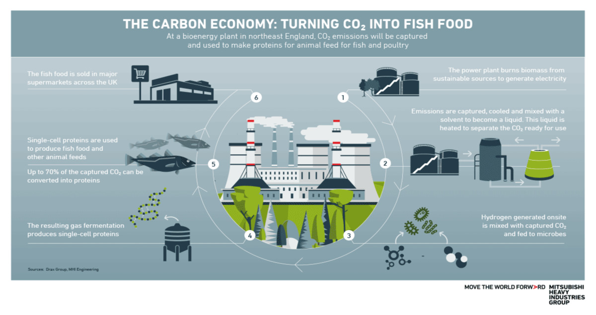 You, too, can master value chain emissions